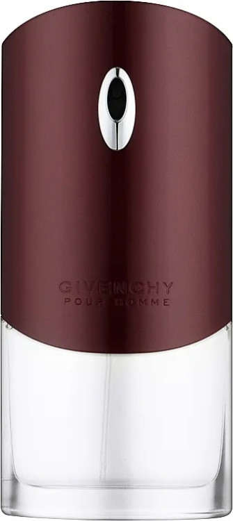 Givenchy Pour Homme 100ml (Туалетная вода)
