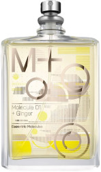Escentric Molecules Molecule 01 + Ginger 100 ml TESTER (Оригинал) Туалетная вода