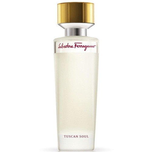 Salvatore Ferragamo Tuscan Soul Pour Homme 100ml (Туалетная вода) — Salvatore Ferragamo Tuscan Soul Pour Homme 100ml (Туалетная вода)