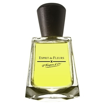 Frapin Esprit de Fleurs 100ml TESTER (Оригинал) Парфюмерная вода — Frapin Esprit de Fleurs 100ml TESTER (Оригинал) Парфюмерная вода